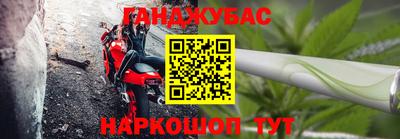 амф Кингисепп