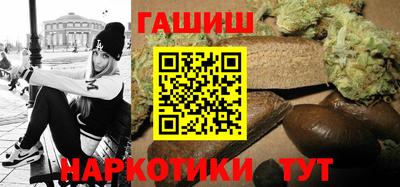 амф Кингисепп