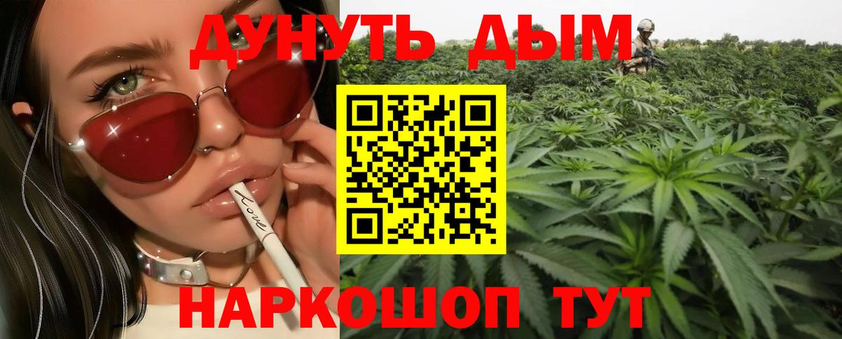 Курчалой  Бошки Шишки тримм  Бошки марихуана Ganja  Бошки Шишки гибрид  МАРИХУАНА сатива  Вход с VPN 